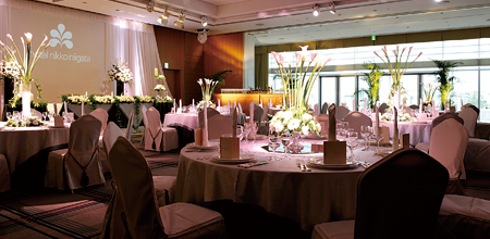 朱鷺（全スパン）