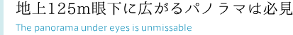 地上125m眼下に広がるパノラマは必見